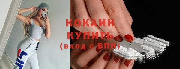 хмурый Богородицк