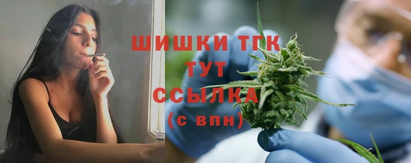 Альфа ПВП Богородск