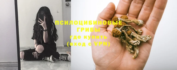марки lsd Богданович