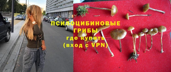 хмурый Богородицк
