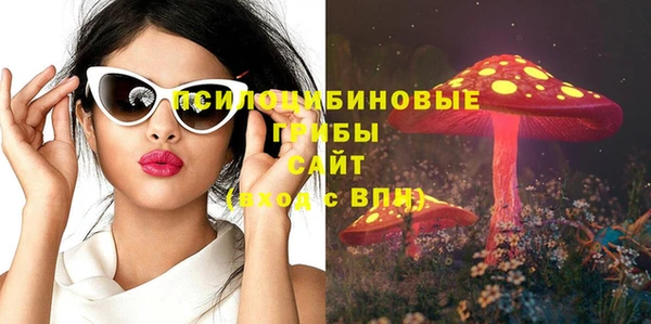 хмурый Богородицк