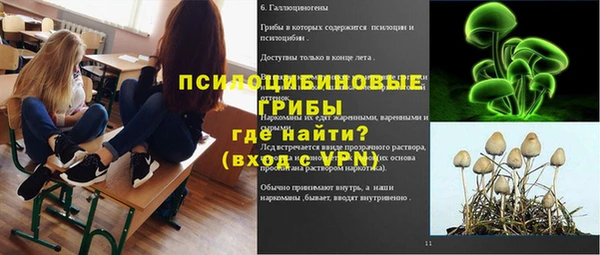Альфа ПВП Богородск