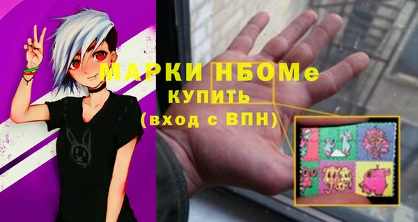 хмурый Богородицк